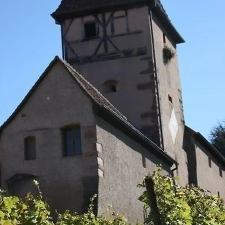 Dans Maison Alsacienne - 4 Pers. - Fr-1-744-57 Ammerschwihr